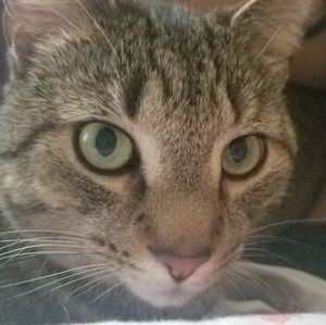 Meet your Posher, Gabby